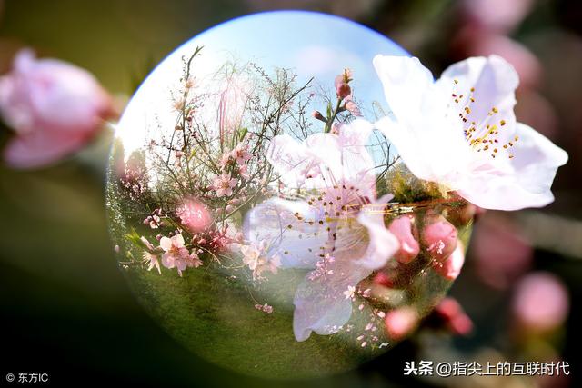 想做淘宝美工的你必须要知道什么是淘宝美工?