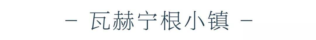 悠悠岁月,百年历史,回顾荷兰瓦赫宁根大学建校100周年!
