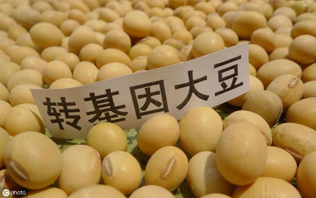 转基因食品为什么可以抗癌? 有哪些抗癌的转基因食品?