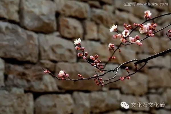 �Ļ�ʯ����Ǯһƽ���Ļ�ʯ�۸�ο�ָ��