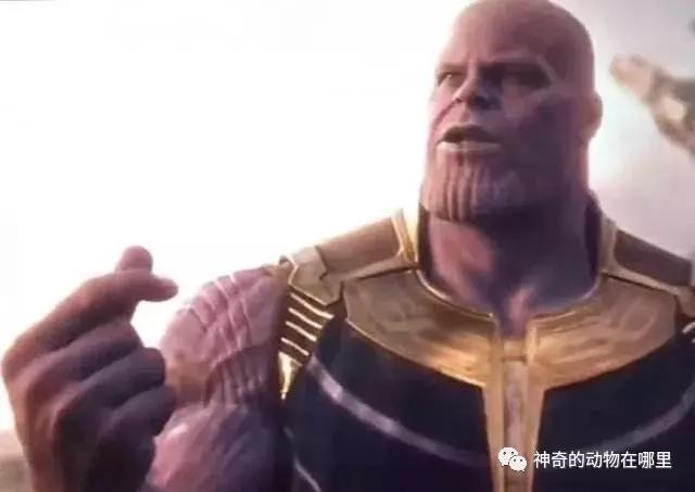 ��ƭ����ܾõ�α��ʶ�������������ָ�����׶������̰��ᣩ