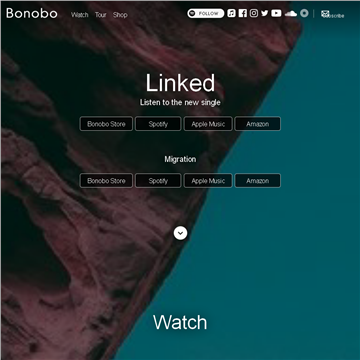 Bonobo