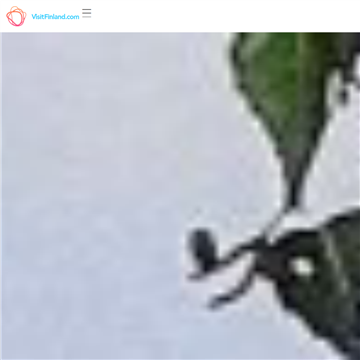 ξ