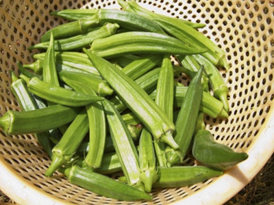 几种植物伟哥安全又有效哟