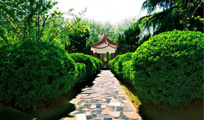 青岛科技大学 青岛科技大学