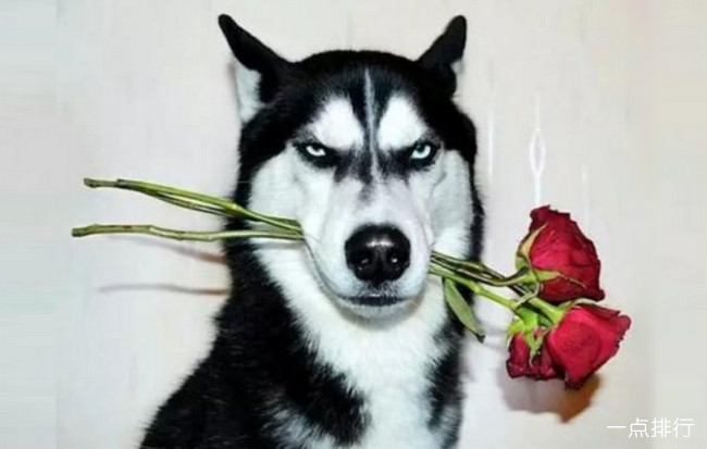 ��ʿ��