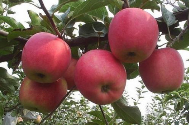 ƻ��?