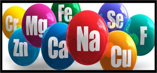 高中生物中的无机盐的作用