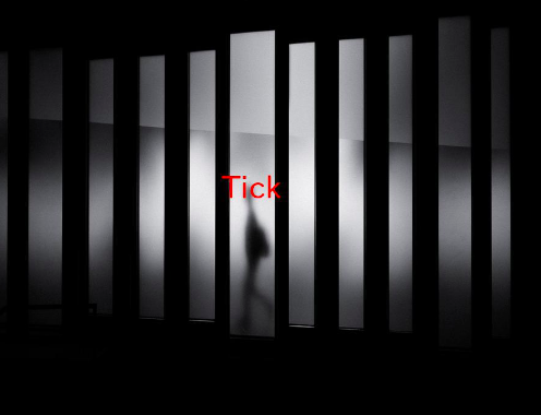 tick是什么意思