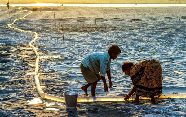 人与环境的关系